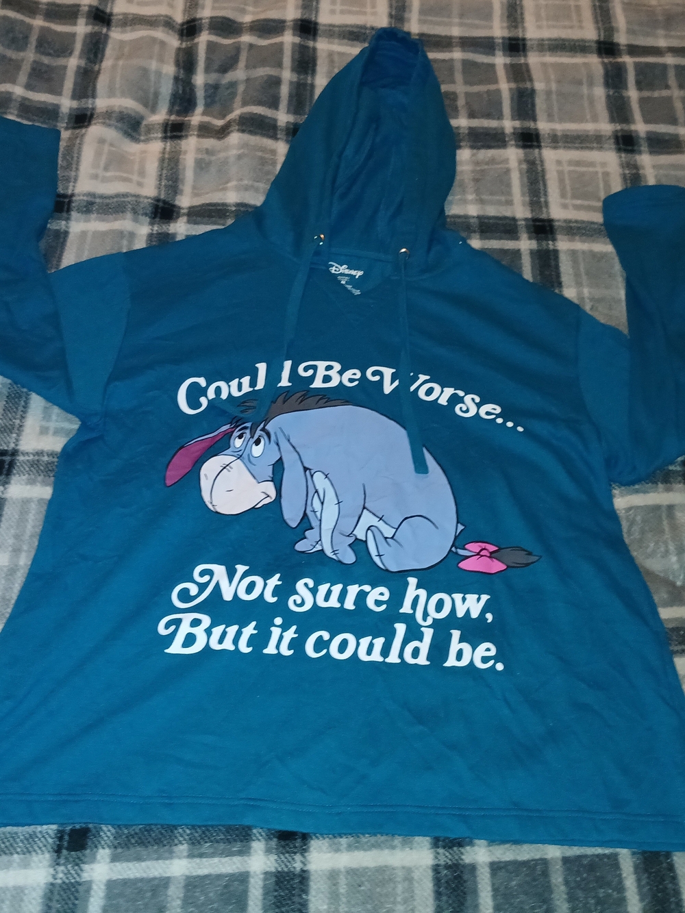 Disney Eeyore Teal Hoodie Shirt - Could Be Worse